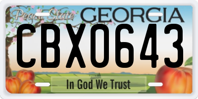 GA license plate CBX0643