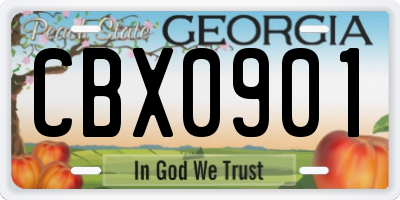 GA license plate CBX0901