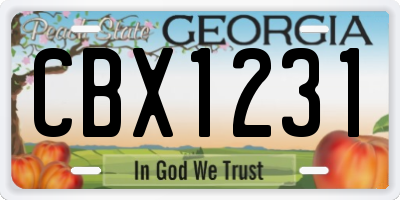 GA license plate CBX1231