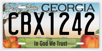 GA license plate CBX1242