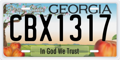 GA license plate CBX1317