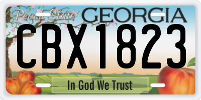 GA license plate CBX1823