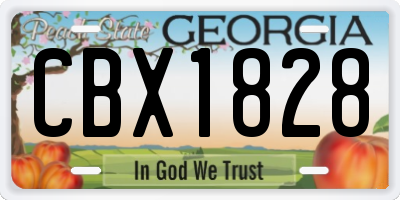 GA license plate CBX1828