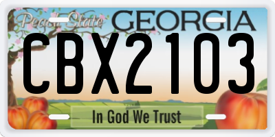 GA license plate CBX2103