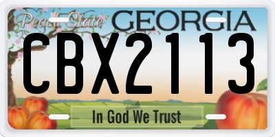GA license plate CBX2113