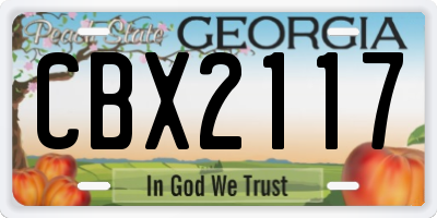GA license plate CBX2117