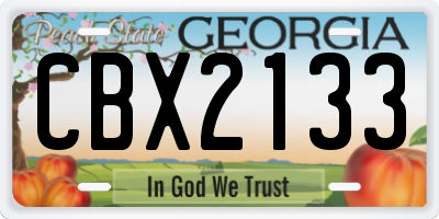 GA license plate CBX2133
