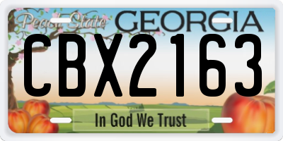 GA license plate CBX2163