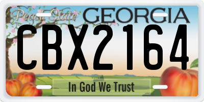 GA license plate CBX2164