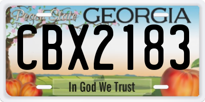 GA license plate CBX2183