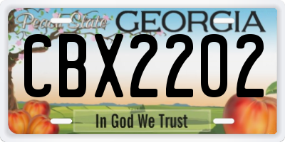GA license plate CBX2202