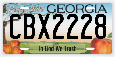 GA license plate CBX2228