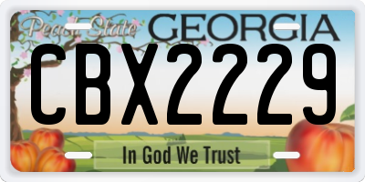 GA license plate CBX2229
