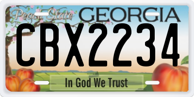 GA license plate CBX2234