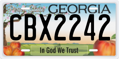 GA license plate CBX2242