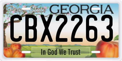 GA license plate CBX2263