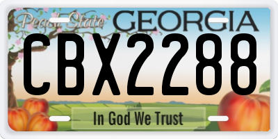 GA license plate CBX2288