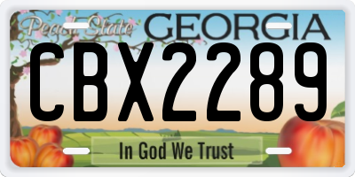 GA license plate CBX2289