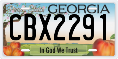 GA license plate CBX2291