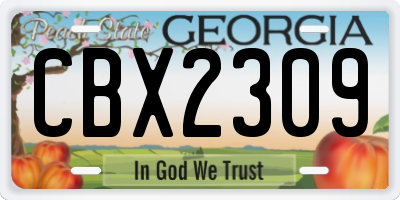GA license plate CBX2309