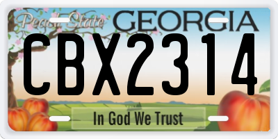 GA license plate CBX2314