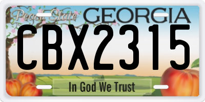 GA license plate CBX2315