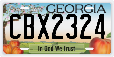 GA license plate CBX2324