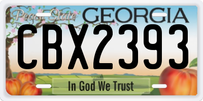 GA license plate CBX2393