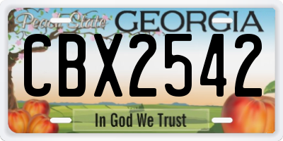 GA license plate CBX2542
