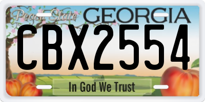 GA license plate CBX2554