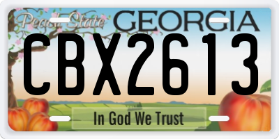 GA license plate CBX2613