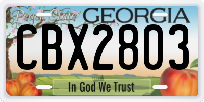 GA license plate CBX2803