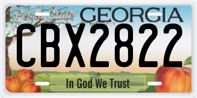 GA license plate CBX2822
