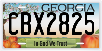 GA license plate CBX2825
