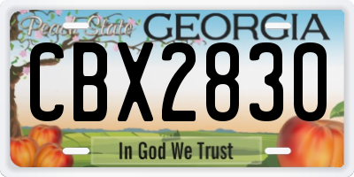 GA license plate CBX2830