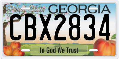 GA license plate CBX2834