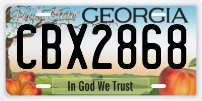 GA license plate CBX2868
