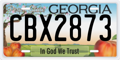 GA license plate CBX2873