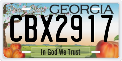 GA license plate CBX2917