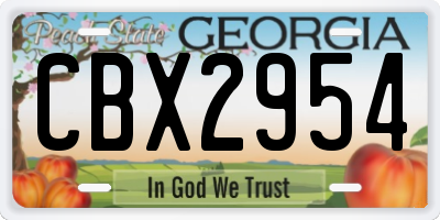 GA license plate CBX2954