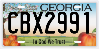 GA license plate CBX2991