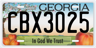 GA license plate CBX3025
