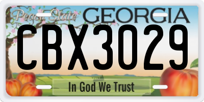 GA license plate CBX3029