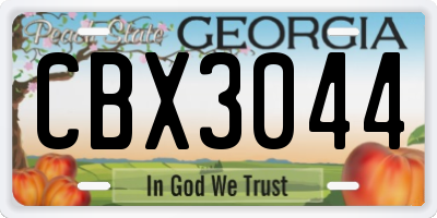 GA license plate CBX3044