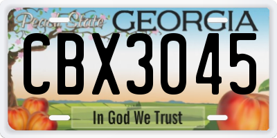GA license plate CBX3045