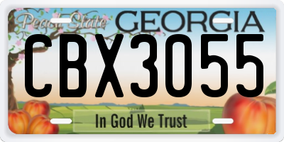 GA license plate CBX3055
