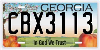 GA license plate CBX3113