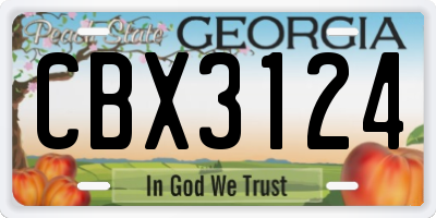 GA license plate CBX3124