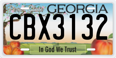 GA license plate CBX3132