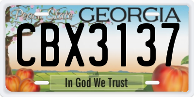 GA license plate CBX3137